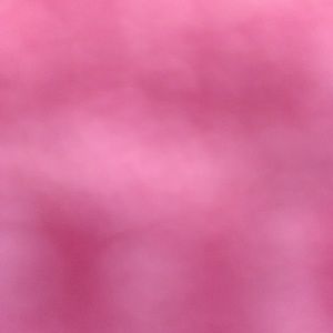 Meet your Posher, Irma